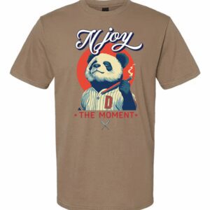 Brown T-shirt with a panda and motivational text design.